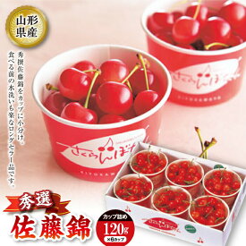 【ふるさと納税】《先行予約 2025年度発送》佐藤錦のさくらんぼちゃん 120g×6カップ FSY-0670