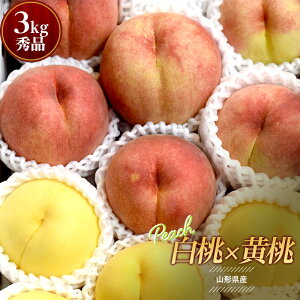 yӂ邳Ɣ[Łz ss\ 2026NtR`Y × Gi 3kg    fU[g t[c ʕ  ʎ Hi R` FSY-2496