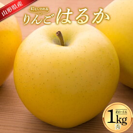 【ふるさと納税】 りんご はるか 1kg (約3～5玉入り) 山形県産 ギフト箱入り 蜜入り 《先行予約 2024年12月中旬から発送開始》 FSY-0616