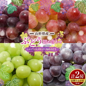 【ふるさと納税】 【先行予約2026年度発送】山形県産 ぶどう 詰め合わせ （シャインマスカット1房＋品種おまかせ1房 計2房） マスカット ブドウ 葡萄 デザート フルーツ 果物 くだもの 果実 食品 山形県 FSY-0663