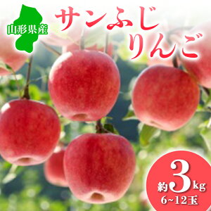 yӂ邳Ɣ[Łz2025Ns\ Tӂ 3kg  S ь fU[g t[c ʕ  ʎ Hi R` FSY-0677