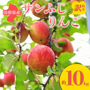 yӂ邳Ɣ[Łz2025Ns\ 󂠂 Tӂ 10kg  S ь fU[g t[c ʕ  ʎ Hi R` FSY-0679