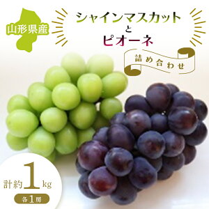 yӂ邳Ɣ[Łzys\ ߘa7NxzR`Y VC}XJbgƃsI[l̋lߍ킹 e1[ v1kg }XJbg Ԃǂ uhE  fU[g t[c ʕ  ʎ Hi