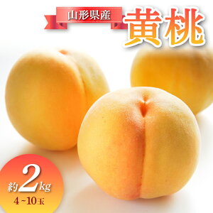 yӂ邳Ɣ[Łzys\ ߘa7NxzR`Y  2kg    fU[g t[c ʕ  ʎ Hi R` FSY-0685