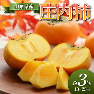yӂ邳Ɣ[Łzys\ ߘa7NxzR`Y ` 3kg `  fU[g t[c ʕ  ʎ Hi R` FSY-0688