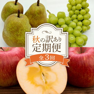 yӂ邳Ɣ[Łzy2025N s\zH̖󂠂 ̒ (S3) }XJbg Ԃǂ uhE  fU[g t[c ʕ  ʎ Hi R` FSY-0694