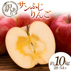 yӂ邳Ɣ[Łzy2025N s\z󂠂 Tӂ 10kg 28`54  S ь fU[g t[c ʕ  ʎ Hi R` FSY-0695