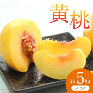 yӂ邳Ɣ[Łzss\ 2025Nxt  5kg    fU[g t[c ʕ  ʎ Hi R` FSY-0705