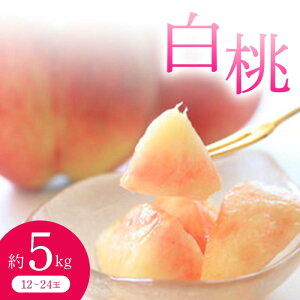 yӂ邳Ɣ[Łzss\ 2025Nxt(i킨܂) 5kg    fU[g t[c ʕ  ʎ Hi R` FSY-0706