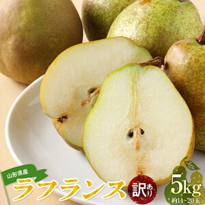 yӂ邳Ɣ[Łz R`Y 󂠂 EtX 5kg Ȃ iV  fU[g t[c ʕ  ʎ Hi R` FSY-0725