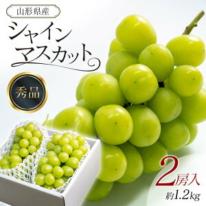 yӂ邳Ɣ[Łzys\ 2025NxzVC}XJbg 2[ 1.2kg }XJbg Ԃǂ uhE  fU[g t[c ʕ  ʎ Hi R` FSY-0737