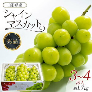 yӂ邳Ɣ[Łzys\ 2025NxzVC}XJbg 3`4[ 1.7kg }XJbg Ԃǂ uhE  fU[g t[c ʕ  ʎ Hi R` FSY-0738