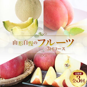 yӂ邳Ɣ[Łz s2026Ns\ty3zR`̃t[c 3R[X FSY-2488