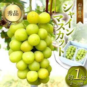 yӂ邳Ɣ[Łz R`Y VC}XJbg 2`3 [ 1kg }XJbg Ԃǂ uhE  fU[g t[c ʕ  ʎ Hi R` FSY-0802