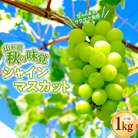 【ふるさと納税】 【先行予約（2024年度発送）】数量限定 【山形県秋の味覚】シャインマスカット 1kg 2～3房 FSY-0803