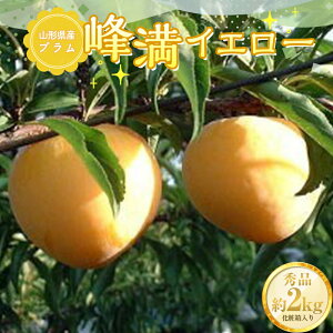 yӂ邳Ɣ[Łzs2025Ns\tR`Y v CG[ 2kg i8ʁ`13ʁj Gi ϔ t[c ʕ  ʎ Hi R` FSY-0824