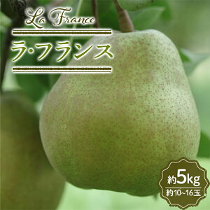 yӂ邳Ɣ[Łz R`Y EtX 5kg 10`16 FSY-2426