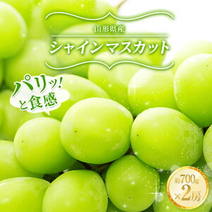 yӂ邳Ɣ[Łz R`Y VC}XJbg 700g×2[ FSY-2485
