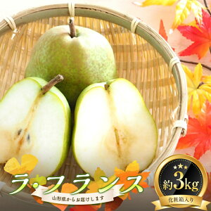 yӂ邳Ɣ[Łz s2025Nt EtX 3kg ϔ FSY-0864