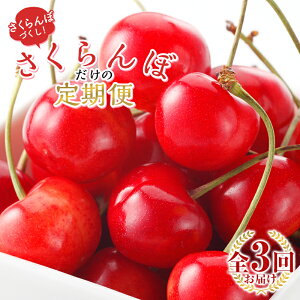 yӂ邳Ɣ[Łz y2026Ns\zڂ̒ S3 FSY-1000