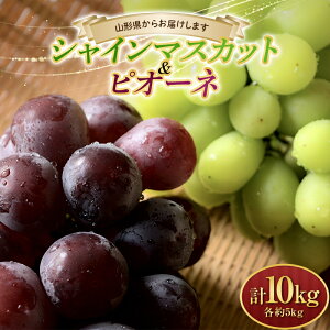 yӂ邳Ɣ[Łzy2025N s\zVC}XJbg5kgƃsI[l5kg v10kg }XJbg Ԃǂ uhE  fU[g t[c ʕ  ʎ Hi R` FSY-1015