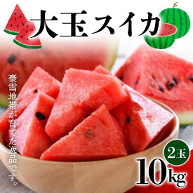 【ふるさと納税】 【2026年発送 先行予約】 大玉スイカ2玉 FSY-1022