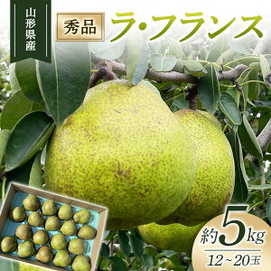 yӂ邳Ɣ[ŁzR`Y  12`20 5kg EtX Gi (2025N10{`12{) s\ Ȃ iV fU[g t[c ʕ  Hi FSY-1891