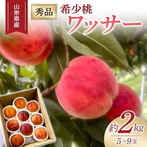 yӂ邳Ɣ[Łz y2026Nxs\z󏭓 bT[ 2kg 5ʁ`9 FSY-1026