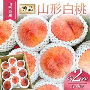 yӂ邳Ɣ[Łz y2026Nxs\zR` 2kg 5ʁ`9 FSY-2462