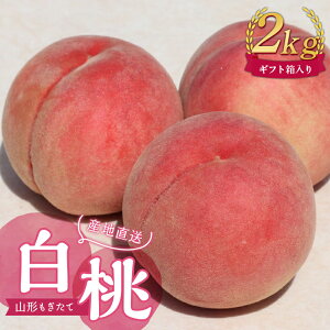 yӂ邳Ɣ[Łzyst ߘa7NxzR`Ĕ2kg Mtg    fU[g t[c ʕ  ʎ Hi R` FSY-1036
