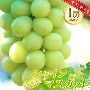 yӂ邳Ɣ[Łzyst ߘa7Nxz[ăVC}XJbg1[ 700g Mtg }XJbg Ԃǂ uhE  fU[g t[c ʕ  ʎ Hi R` FSY-