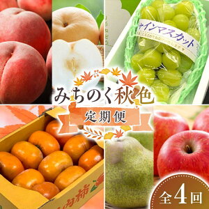 yӂ邳Ɣ[Łzys\ߘa8Nz ݂̂gHFh S4    fU[g t[c ʕ  ʎ Hi R` FSY-2663