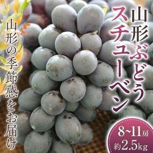 yӂ邳Ɣ[Łz X`[x Ԃǂ 8`11[ 2.5kgy2025N9甭z uhE  fU[g t[c ʕ  ʎ Hi R` FSY-2412
