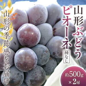 yӂ邳Ɣ[Łz R`sI[l Ԃǂ 500g×2[sȂiłty2025N9甭z uhE  fU[g t[c ʕ  ʎ Hi R` FSY-2413