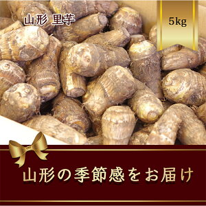 yӂ邳Ɣ[Łz R`Y  5kgy2025N9甭z   Hi R` FSY-2418