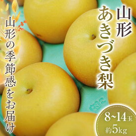 【ふるさと納税】 あきづき梨 秋月 約8玉～約14玉 約5kg 【2024年9月から発送】 FSY-1072