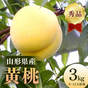 yӂ邳Ɣ[Łzy2025NY s\zR`Y  Gi3kgi8`12ʑOj    fU[g t[c ʕ  ʎ Hi R` FSY-2203
