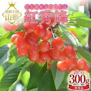 yӂ邳Ɣ[Łz y2026NY s\zR`Y gG G 3L 300g l ϔ FSY-1096