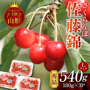 �y�ӂ邳�Ɣ[�Łz �y��s�\�� 2026�N�x�����z��t���[�c�����R�`�􍲓��� �G�i FSY-1123