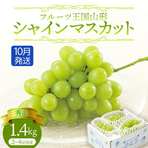 yӂ邳Ɣ[Łzys\ 2025Nxzt[cR`VC}XJbg1.4kg 10 }XJbg Ԃǂ uhE  fU[g t[c ʕ  ʎ Hi R` FSY-1137