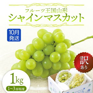 yӂ邳Ɣ[Łzys\ 2025Nxzt[cR`󂠂VC}XJbg1kg 10 }XJbg Ԃǂ uhE  fU[g t[c ʕ  ʎ Hi R` FS