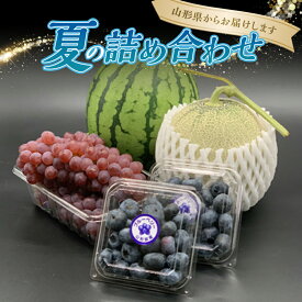 【ふるさと納税】 【令和6年発送】期間限定 夏の詰め合わせ アンデスメロン・小玉すいか・デラウエア・ブルーベリー FSY-1161