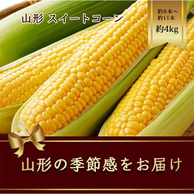 【ふるさと納税】 山形県産 スイートコーン 約8本～約11本 約4kg 【2024年8月から発送】 FSY-1183