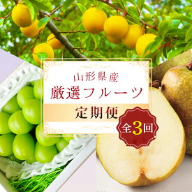 【ふるさと納税】≪先行予約 2024年8月発送開始≫ 山形県の至高！ 山形県厳選 フルーツ定期便 全3回 FSY-1194