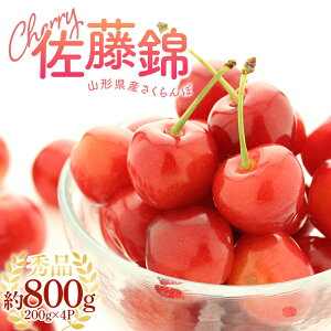 yӂ邳Ɣ[Łz s2026NYstt R`Y ځсGi 800g LTCY 200g×4pbN FSY-1196