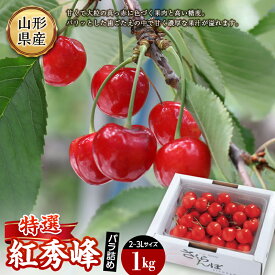 【ふるさと納税】 《先行予約 2025年度発送》紅秀峰 特選バラ詰め【1kg】 FSY-1315
