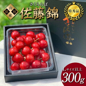 yӂ邳Ɣ[Łzy2026Ns\zځuсv300g Gi LTCYȏ R`Y FSY-1204