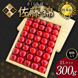 yӂ邳Ɣ[Łzy2026Ns\zځuсv300g Gi 2LTCY ˔ R`Y FSY-1205