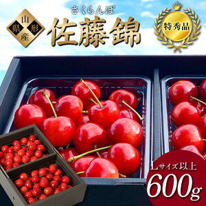 yӂ邳Ɣ[Łzy2026Ns\zځuсv600g Gi LTCYȏ R`Y FSY-1206