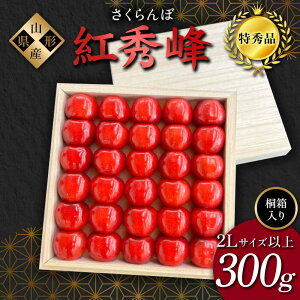 yӂ邳Ɣ[Łzy2026Ns\zځugGv300g Gi 2LTCYȏ ˔ R`Y FSY-1207